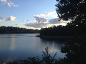 This makes me glad to be alive.