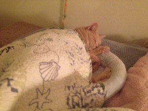 My sleepy girl, HoneyBun