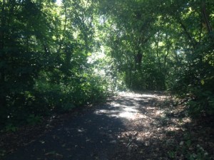 solitude just a minute away from my apartment