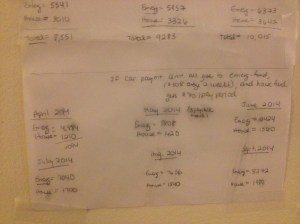 Where I Hope to be Soon