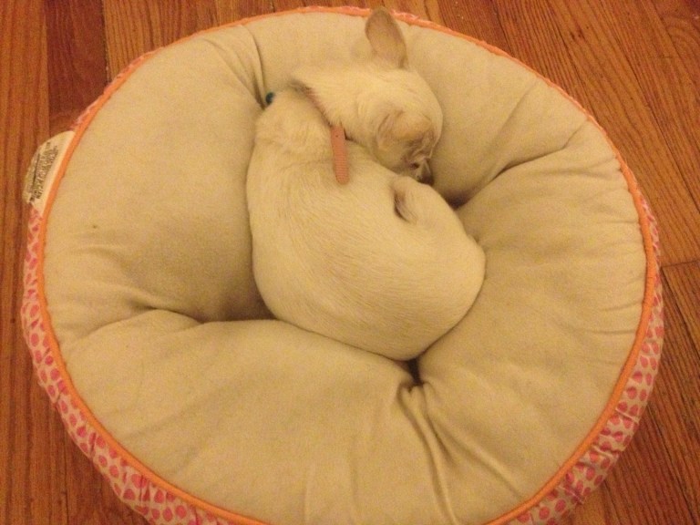 Love....she makes my heart melt.