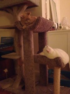 So blessed to have caught this moment in time!