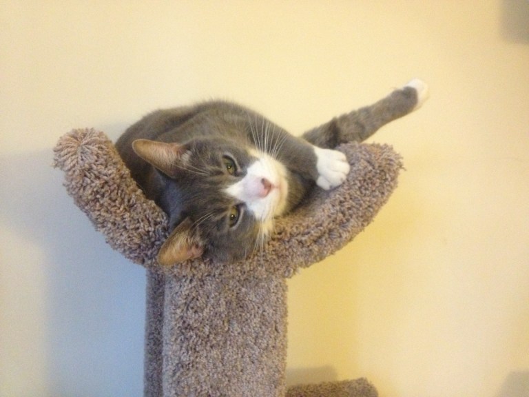 My boy, Sebastian <3 <3 <3