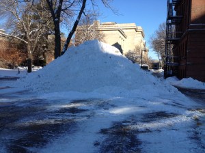 Will spring ever get here??