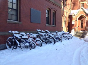 Bikes in the snow. My baby blue has been inside throughout all of this.