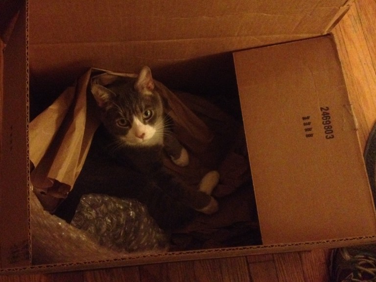 #5 on my list for today. Sebastian. My Doofus.