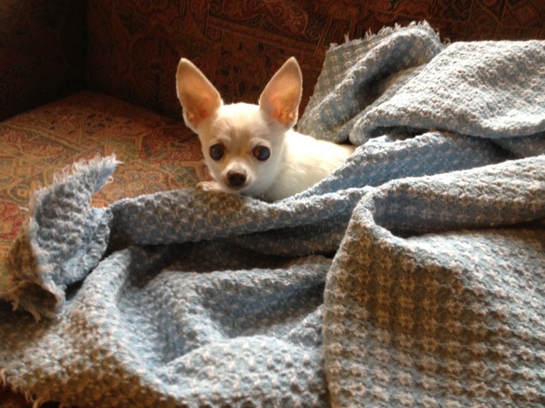 She melts my heart every day.