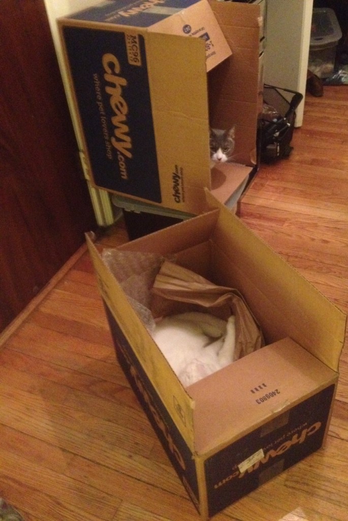 "Oh boy, it's a box! It's two boxes!" (My crazy Sebastian and Max)