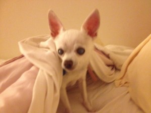 I like how she is sticking out her tongue.