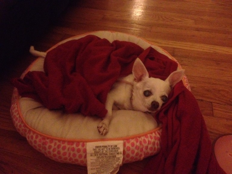 How can you not fall in love with this adorable face?