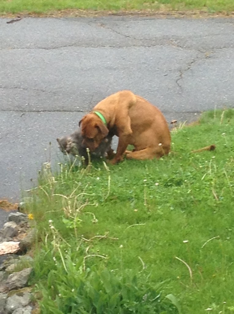 Tookie and Po (a perfect pair)