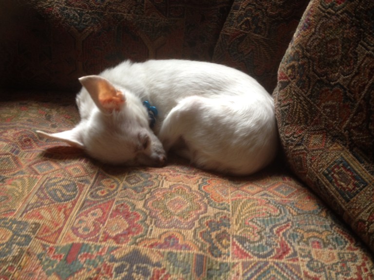 Shhh...the baby is sleeping....