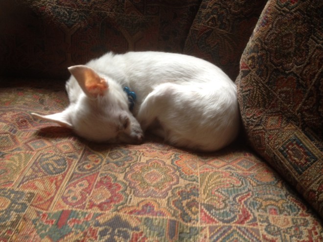 Shhh...the baby is sleeping....