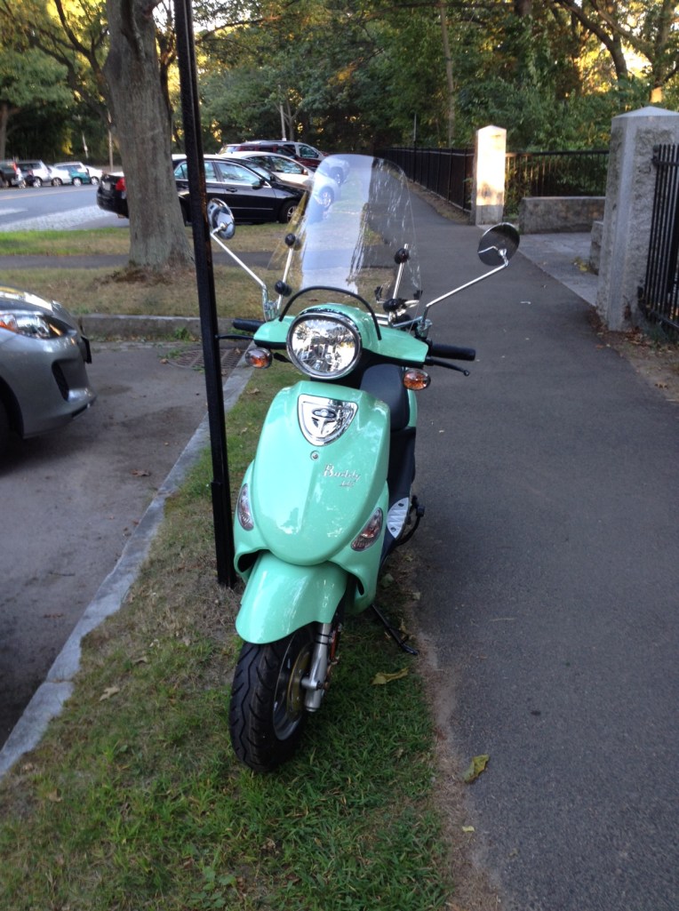 Thinking of naming her CeCe (really "C.C.") for two of my cats who crossed over the rainbow bridge: Clara and Chloe.