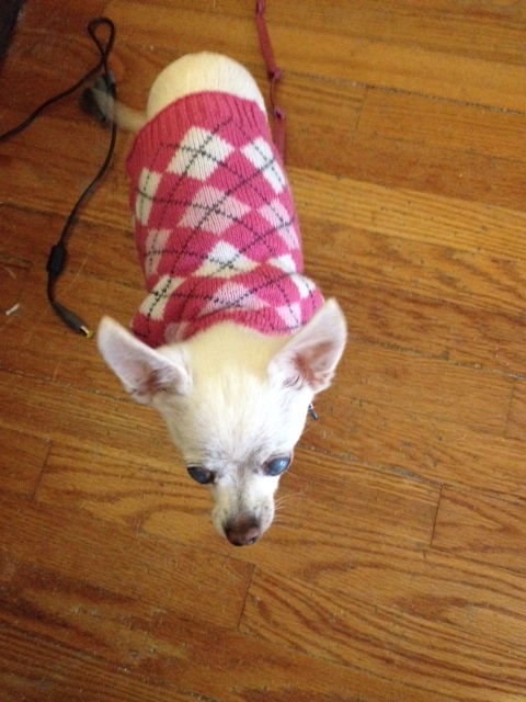 Osito says "I know what you're thinking right now. I am just way too cute for words..."