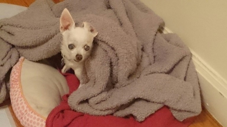 I'm very thankful for this little muffinhead! Baby O!