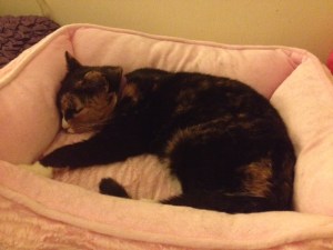 Callie, asleep in her princess bed.