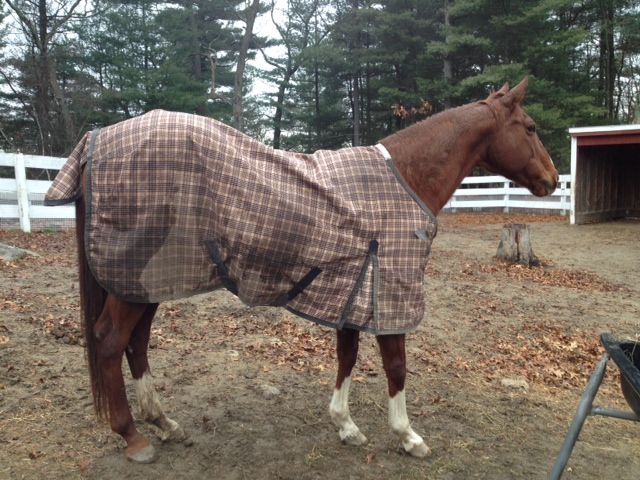 Fancy, who has changed my life's course. Quite literally.