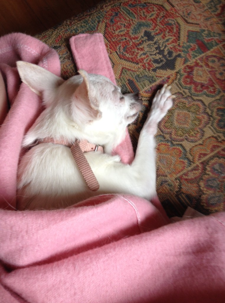 Shhhh....the baby is sleeping....