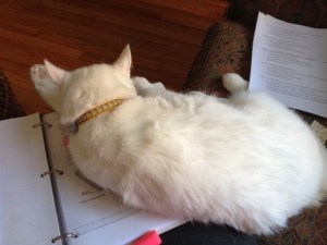 That's ok, Max, you just go ahead and lie right there. It's not like I was actually reading that or anything.... :-)