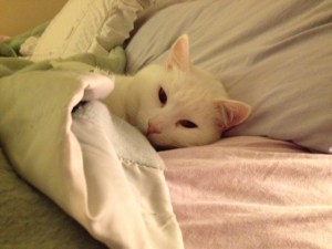 My Max. You just wanna squeeze him in this photo, don't ya??