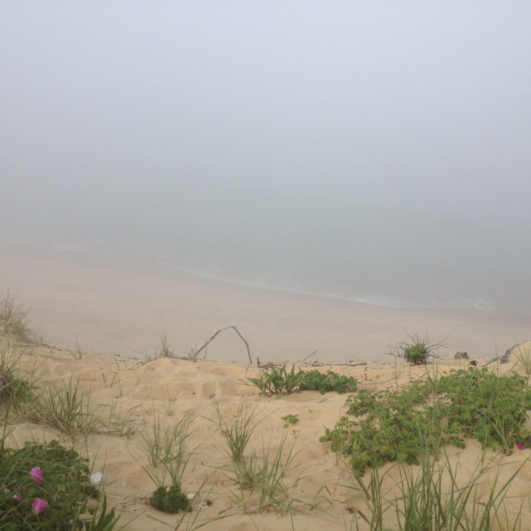 Marconi Point on Cape Cod - the fog had rolled in, making everything seem other-worldly.  It was a very big drop down to the water.