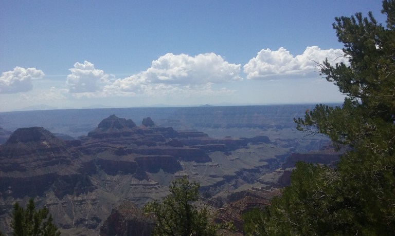 Grand Canyon, North Rim. I love taking pics with trees in the foreground for scale. The clouds were gorgeous.