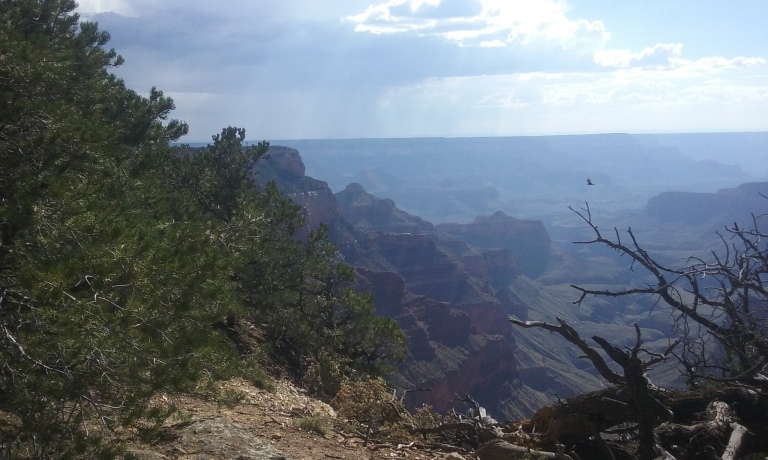Um, yeah... The Grand Canyon is 78 miles from where i live. 