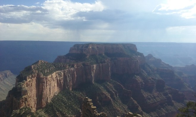 A larger shot of the image that is my header on the blog now.