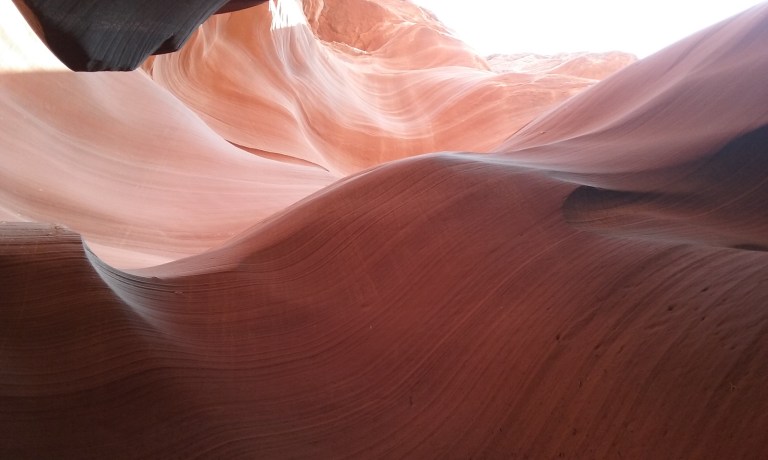 My phone doesn't do the best with the lighting in the canyon, but I just love how the sandstone looks, and curves. 