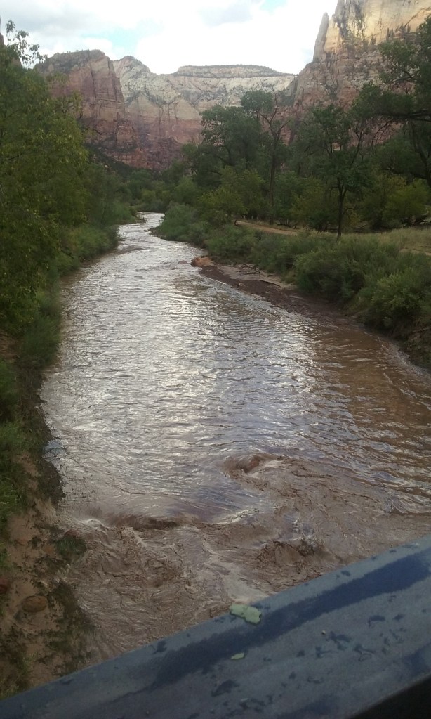 Zion National Park, river after the storm.