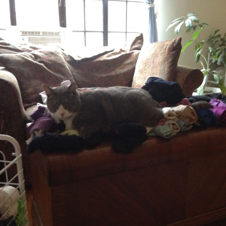 11143693_10153160422954930_3957882250673546403_o (1)