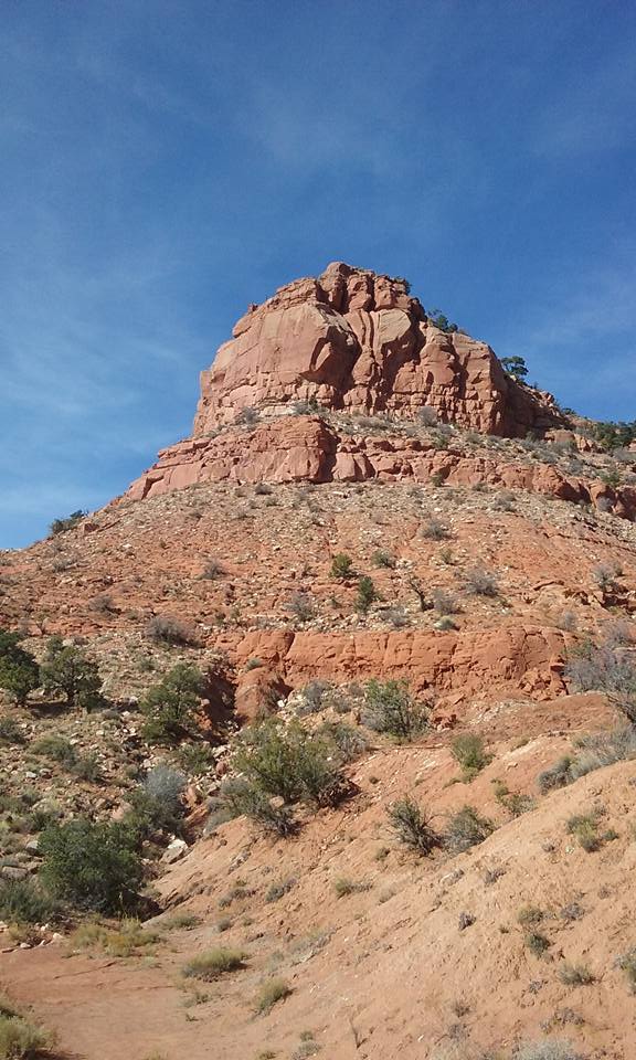 I took this photo today on my walk on a trail close to town. At parts of the trail, it is super quiet and you feel miles away from everything.