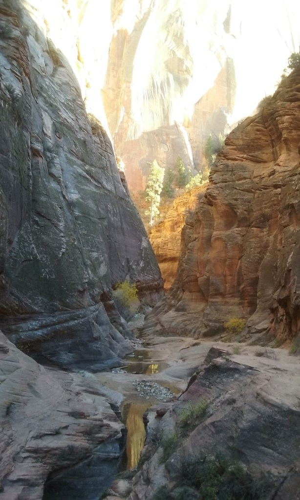 I took this pic on my return back, so the lighting reflects that it was between 4:30 and 5 p.m. that day. Definitely a view that you would only see if on a trail at the park. 