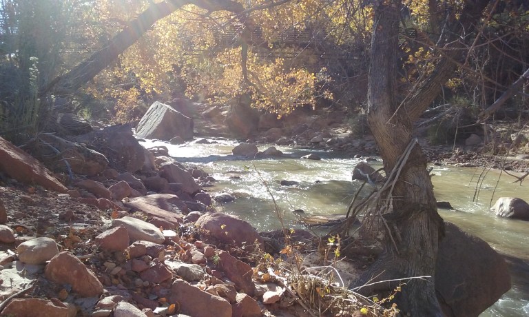 I decided to take a moment to pause and breathe, and read a bit, near the Virgin River. I loved listening to the sound of the water. It calms me.