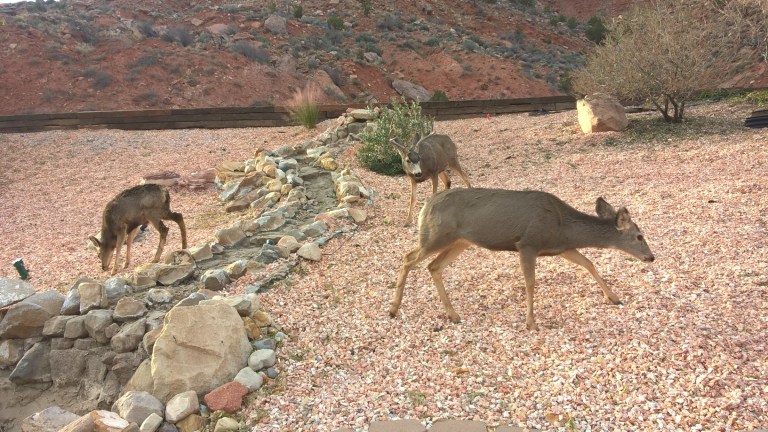 WP_20151207_16_04_24_Pro