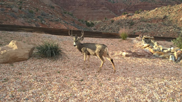 WP_20151207_16_08_31_Pro