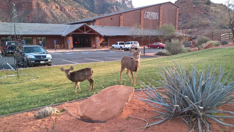 WP_20151207_16_12_47_Pro