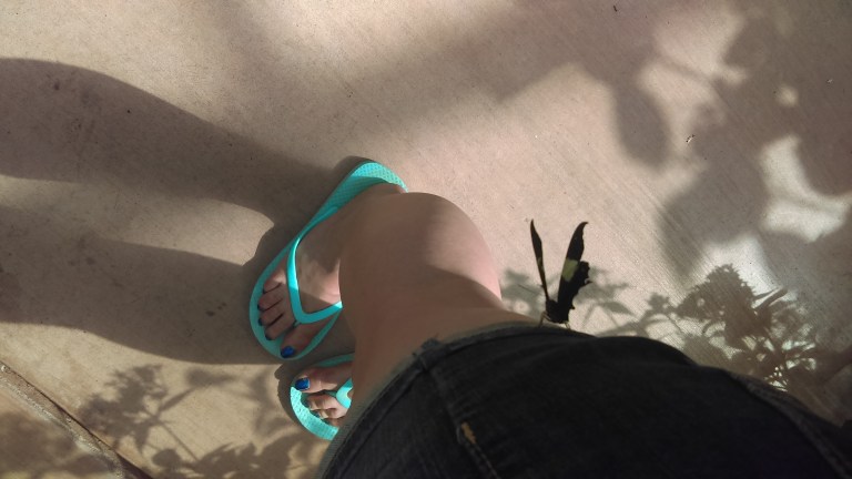 When it landed on me, it really tickled!