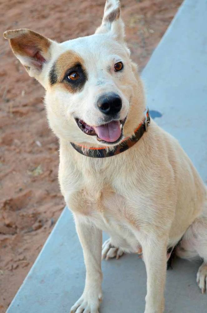 14680911_1148557945197659_6079927872911214289_o