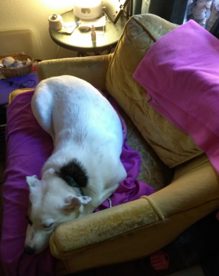 the new chair as occupied by Morgan!