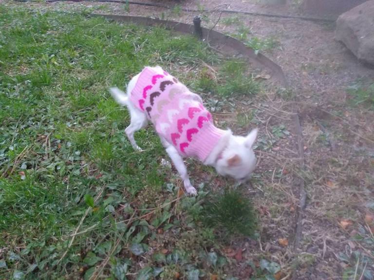 17554483_10154809325829930_918574580528239498_n