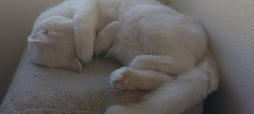 An ounce of prevention is worth a pound of&nbsp;cure