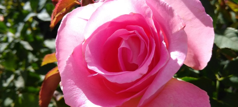 Hey there, is this thing&nbsp;on??