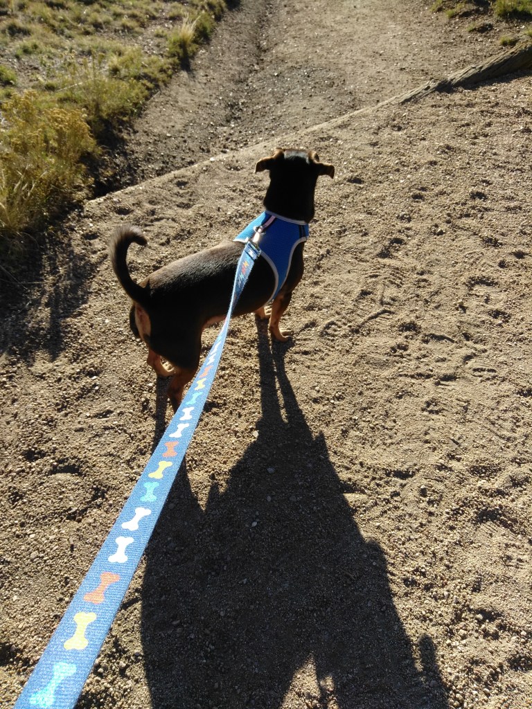 snuggles profile.jpg