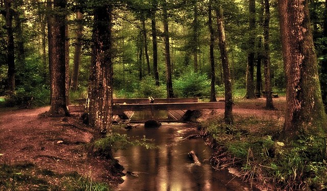 Our Changing Environment