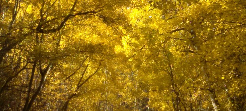 You only see the ugly up close.  Or do&nbsp;you?