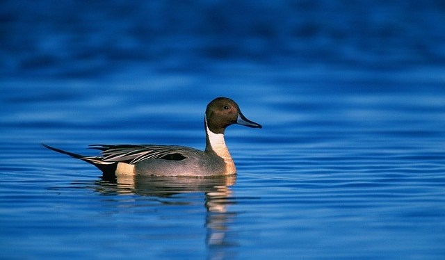 Keep paddling, keep paddling, keep paddling, don’t&nbsp;stop.